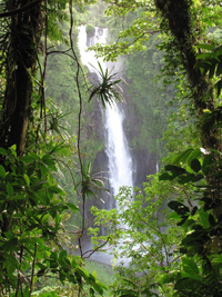 Siri Waterfall in Gaua